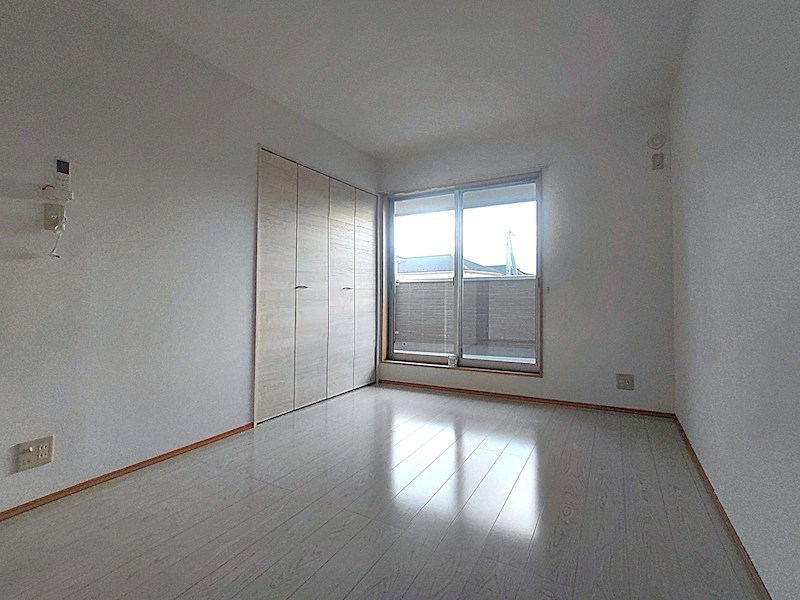 ルピナス（Lupinus）B その他14