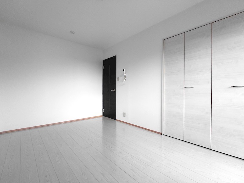 ルピナス（Lupinus）B その他15