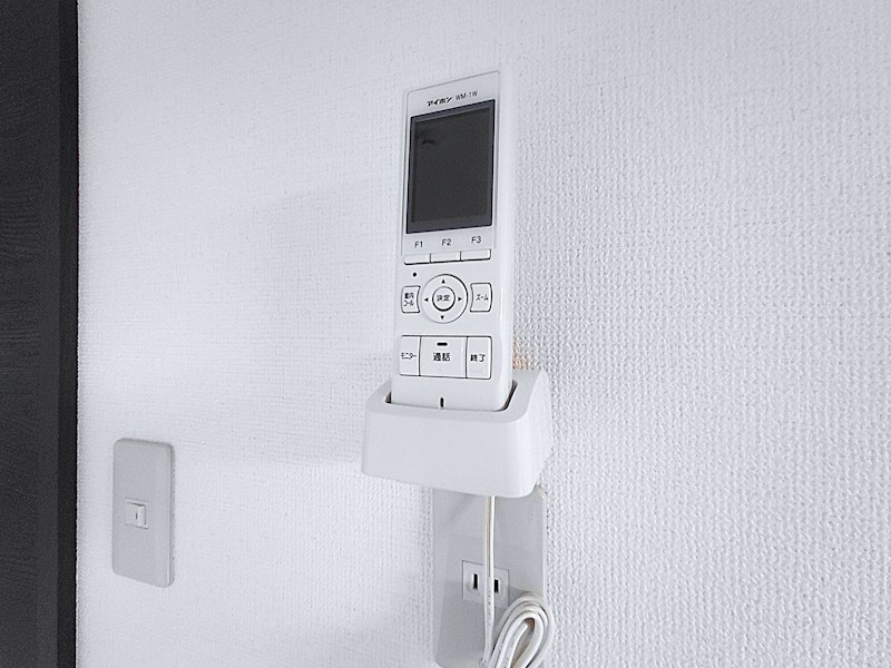 ルピナス（Lupinus）B その他19