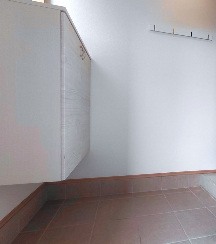 ルピナス（Lupinus）B その他20