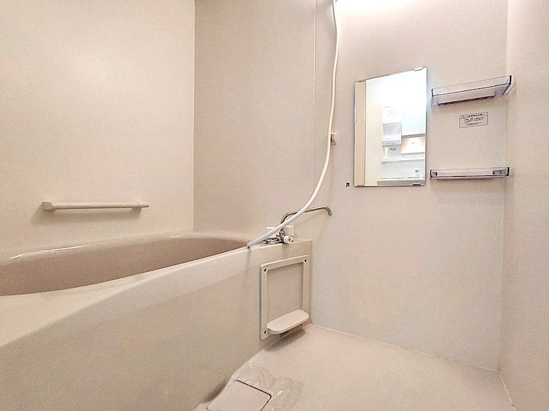 ルピナス（Lupinus）B 風呂画像