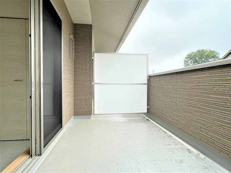 ルピナス（Lupinus）B ベランダ