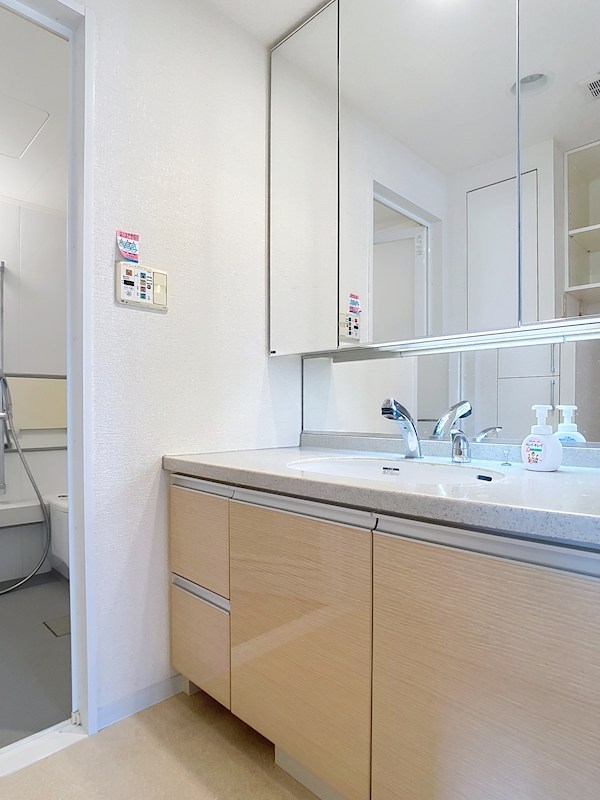 ナイスロイヤルタワー宇都宮中央 その他1