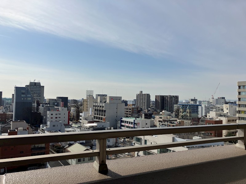 ナイスロイヤルタワー宇都宮中央 その他6