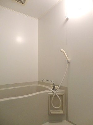 リンクキャッスル 風呂画像