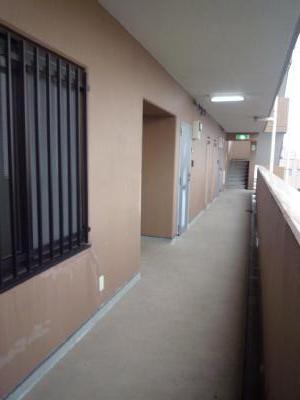 Forest　Wind その他3