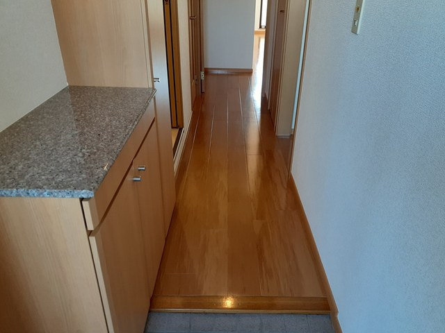 プラシード城東 玄関