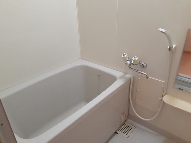 グレイス早乙女 風呂画像