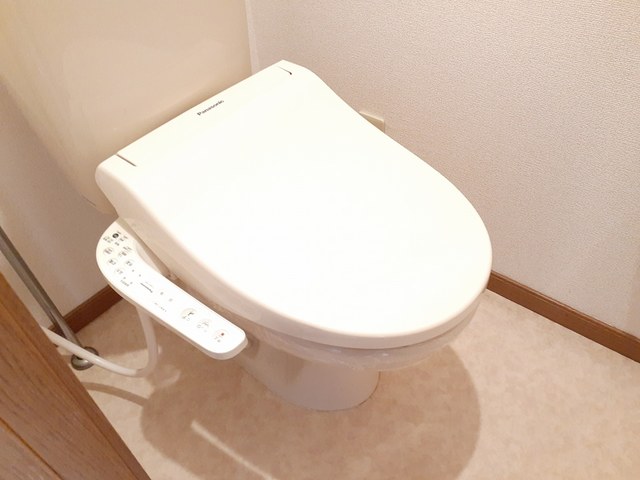 カラジューム雅Ａ その他3