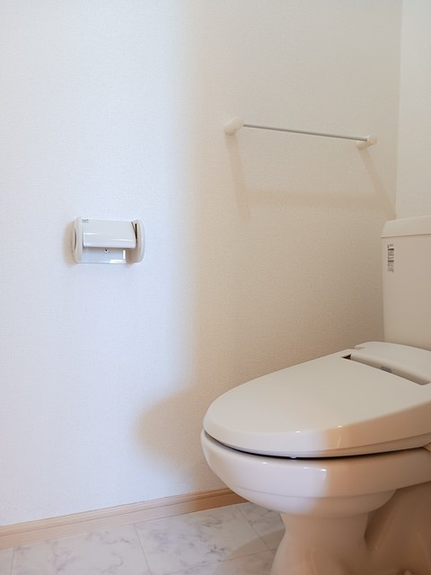 プラシードＣ その他4