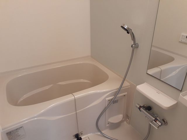 ラスターポイントⅥ 風呂画像