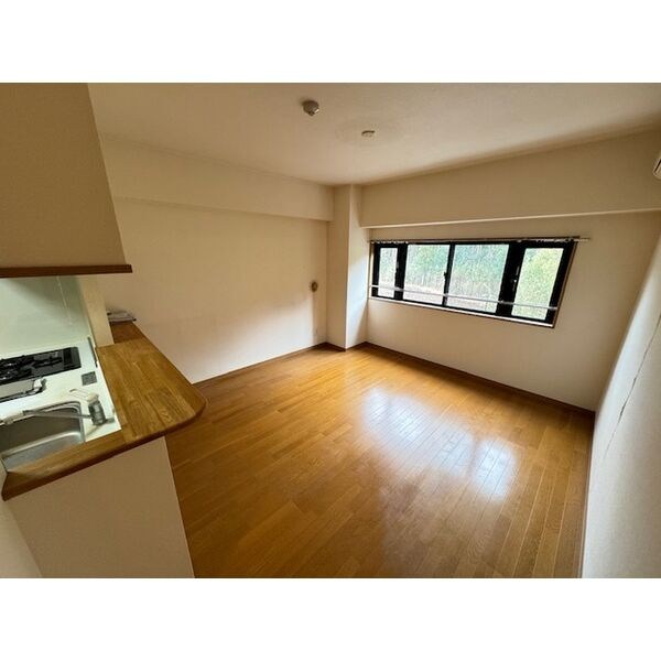 GREEN FOREST その他2