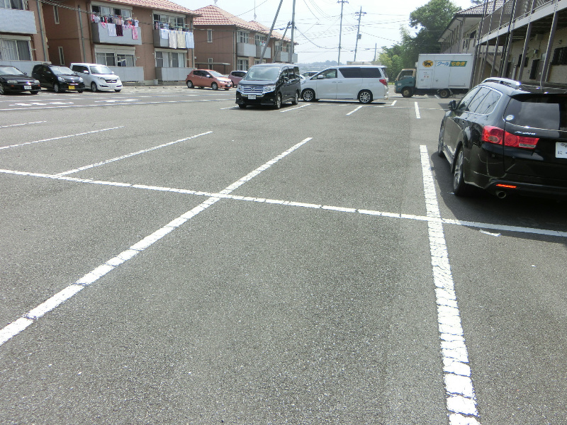 ブルージュエル B その他2