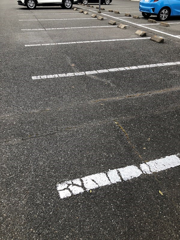 シンフォニックガーデン その他8