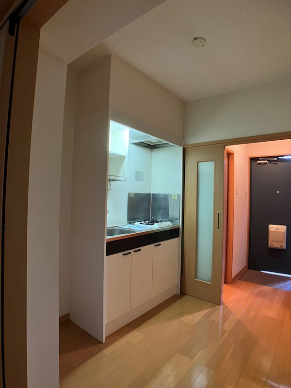 グリーンシャトリエⅡ  その他4