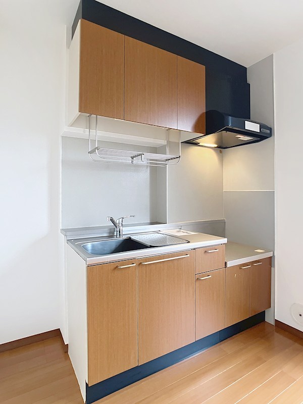 アマービリスB その他10