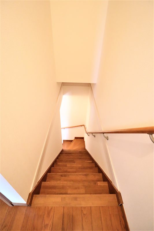 PROCYON（プロキオン） その他5