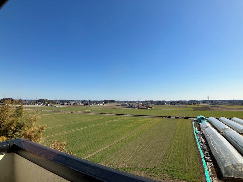 グリーンフラットC その他3