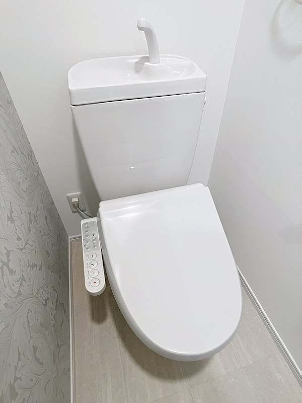 LUXE DE MINE その他19