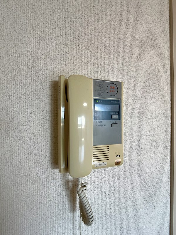 LOTUS MARSH元今泉 その他3