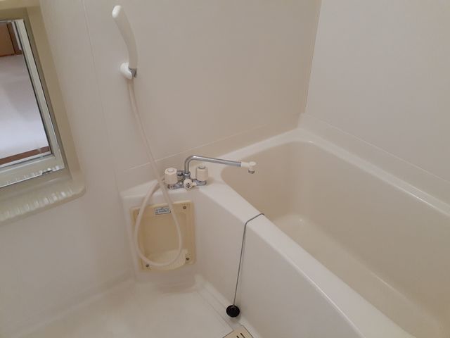 ビックランドⅡ 風呂画像