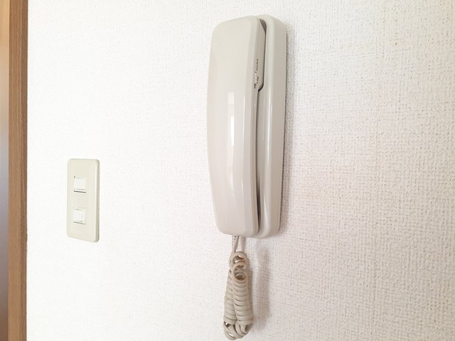 カラジューム雅Ａ その他5