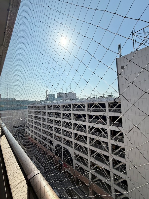 カーサロブレ その他1