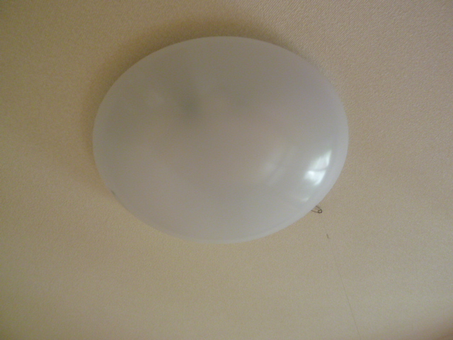 ライラック その他5