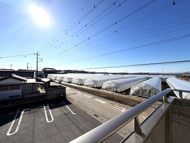 ｍｏｌｌｅ　ｄｏｍｕｓ（モッレドムス） その他13