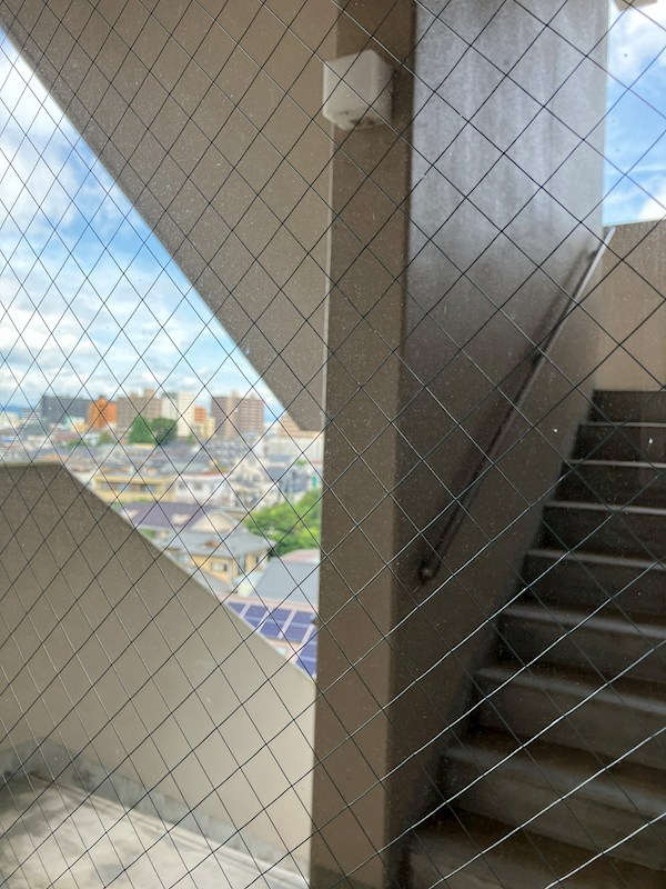 アマルフィーノ その他23