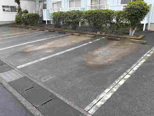 エルディム和 その他6