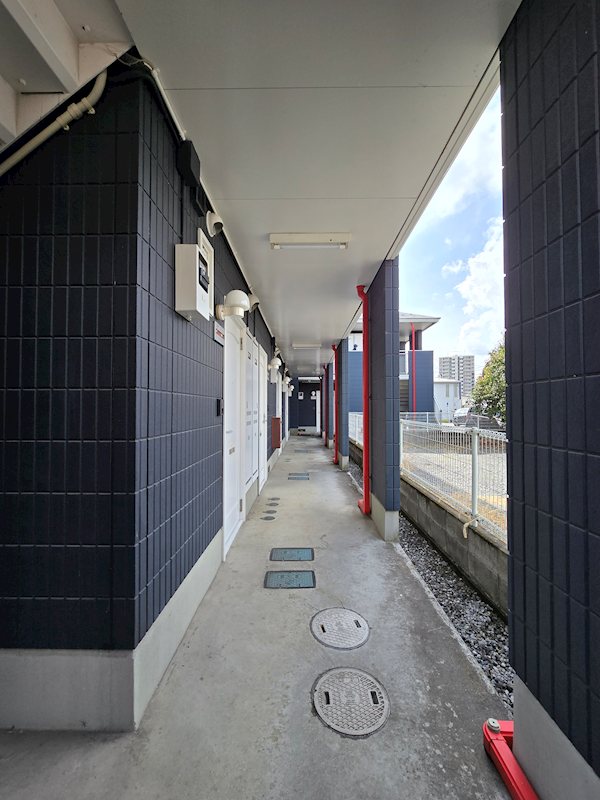 ヴィブレⅡ その他5