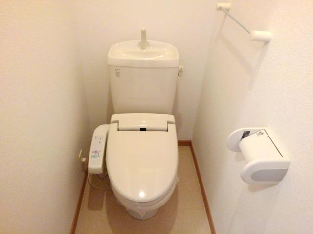 ミモザ その他2