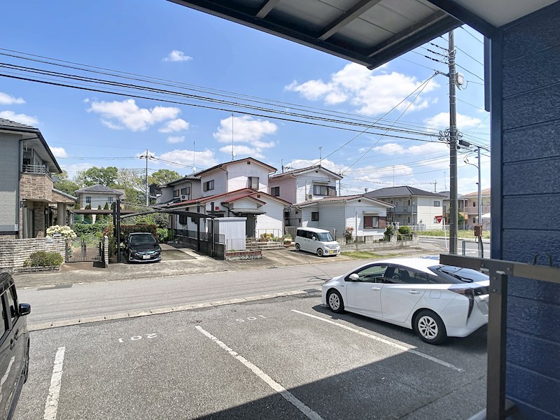 セピック・ブルー その他5