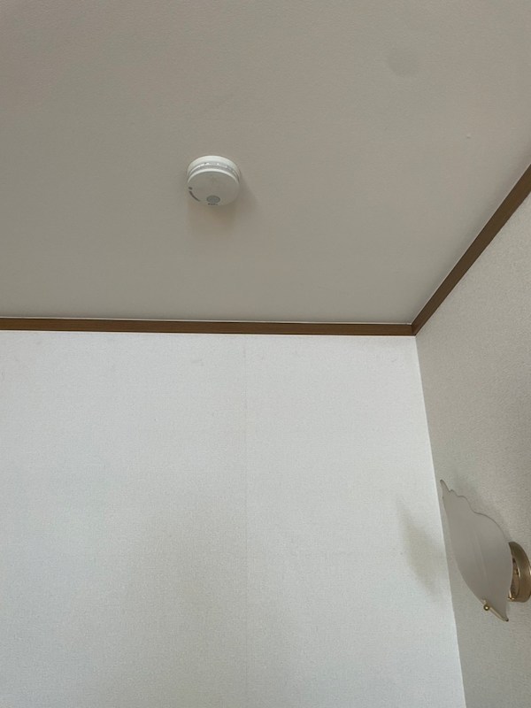 グリーンフォレスト A棟 その他7