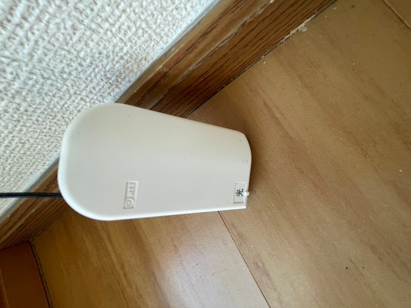 グリーンフォレスト A棟 その他19