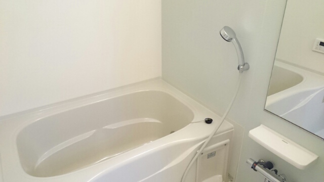 カーサ　ヴィアンコ　ネロ 風呂画像