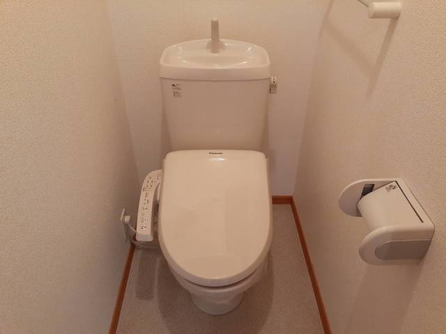 グレイスフルＢ その他2