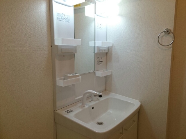 ブルーウィロウ その他1