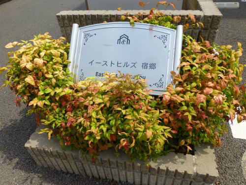 イーストヒルズ宿郷 その他19