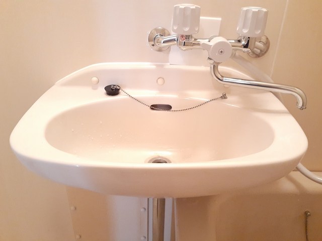 フランボワーズＢ その他4