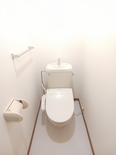 カラジューム雅Ｂ その他4