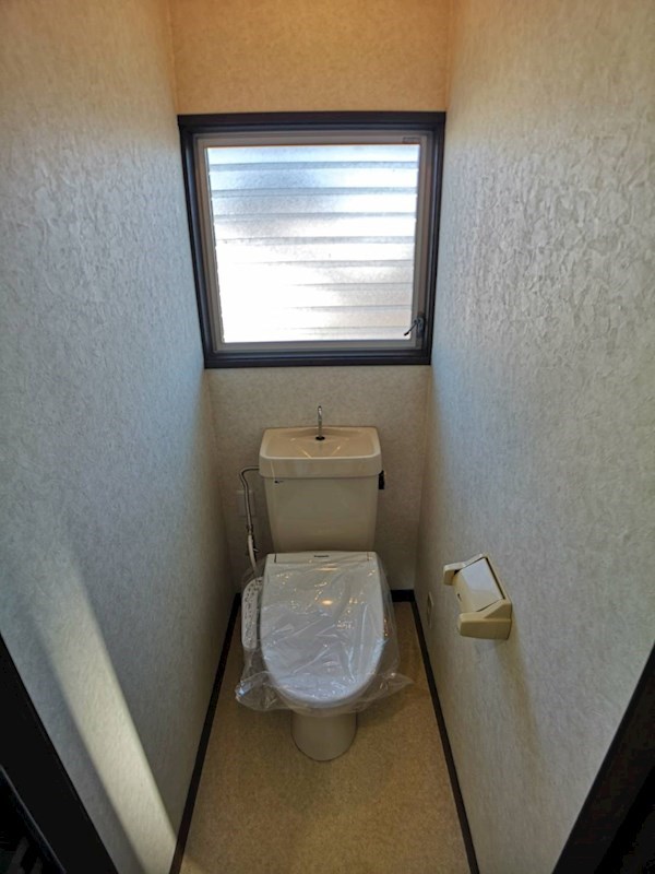 ホワイトバーチ その他2