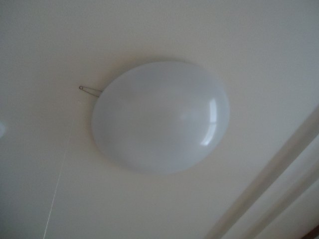 ザ・ワールド その他11