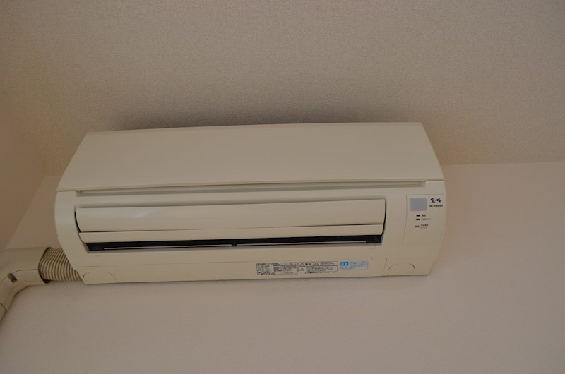 ROYAL RAISIN その他5