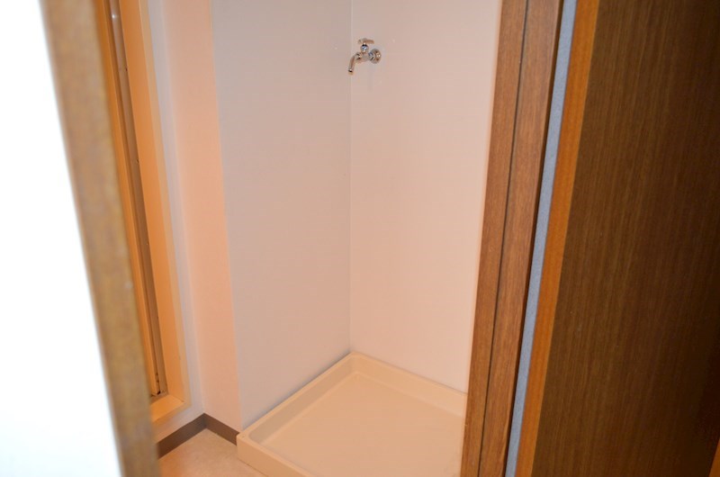 ROYAL RAISIN その他6