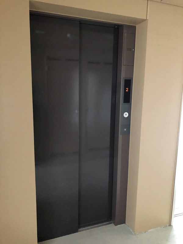 ユーミー桜 その他3