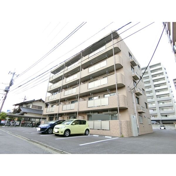 ユーミー桜 その他2