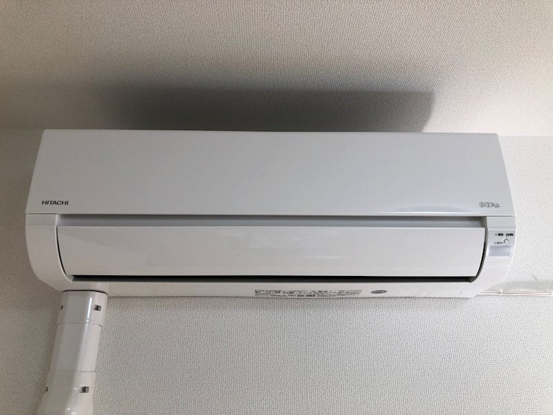 ユーミー桜 その他4