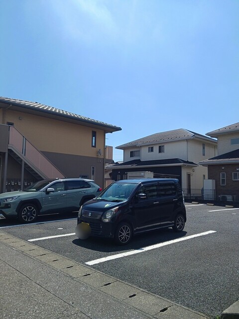 アムール その他4